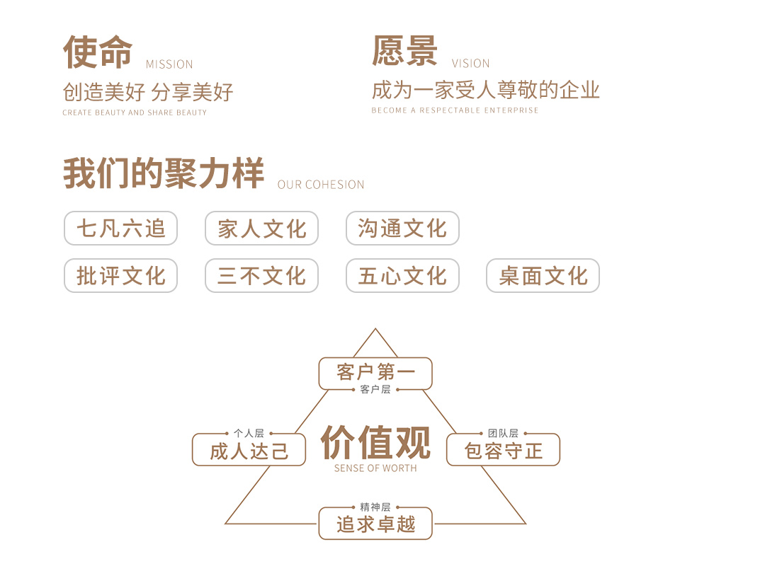 使命价值观